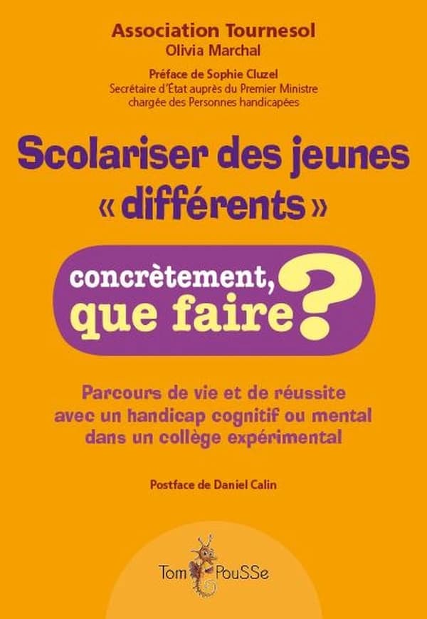 Scolariser des jeunes "différents" : parcours de vie et de réussite avec un handicap cognitif ou mental dans un collège expérimental
