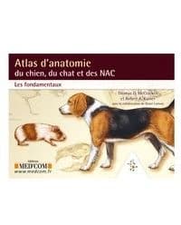 Atlas d'anatomie du chien, du chat et des NAC : Les fondamentaux