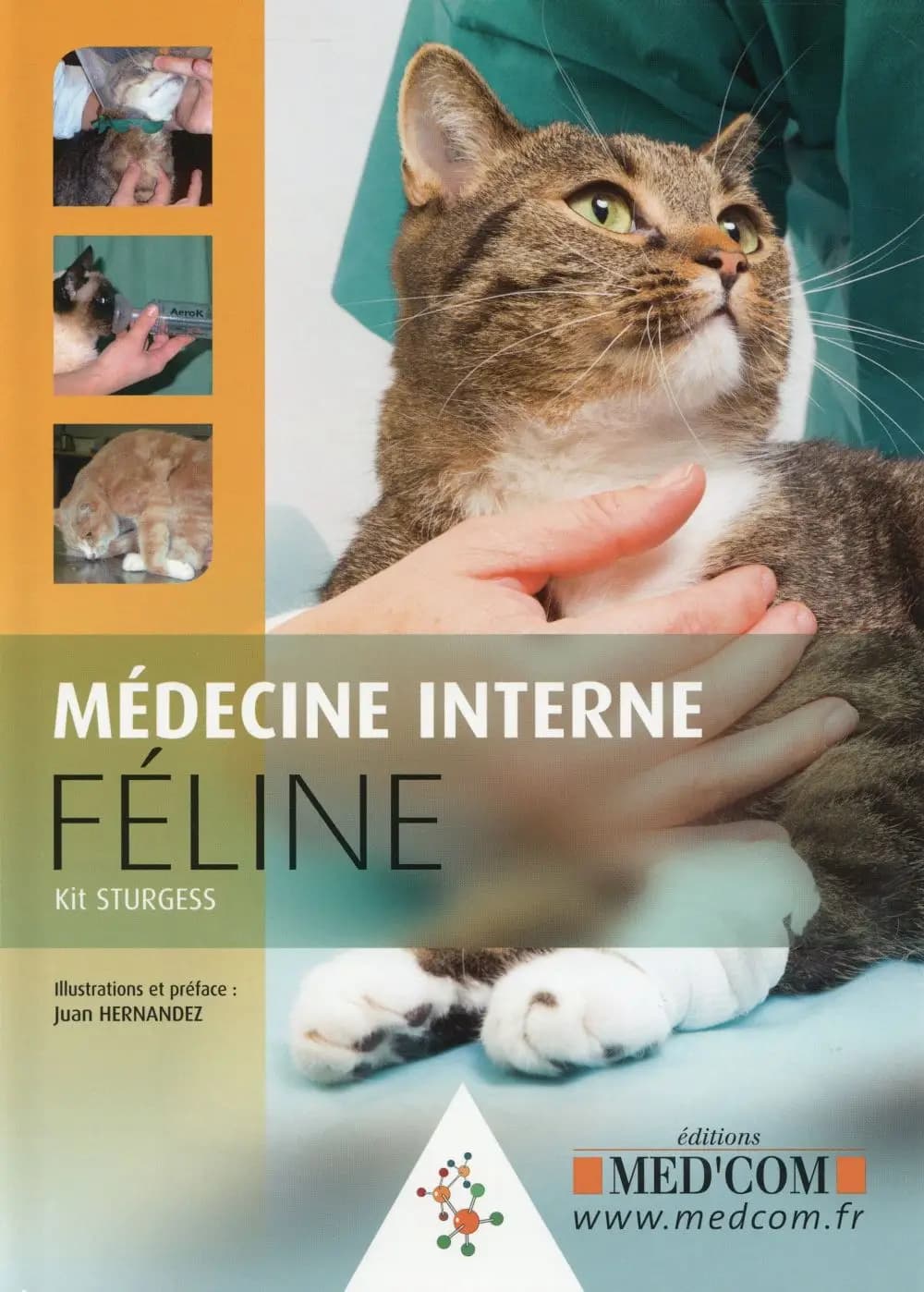 Médecine interne féline