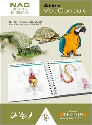 NAC reptiles et oiseaux