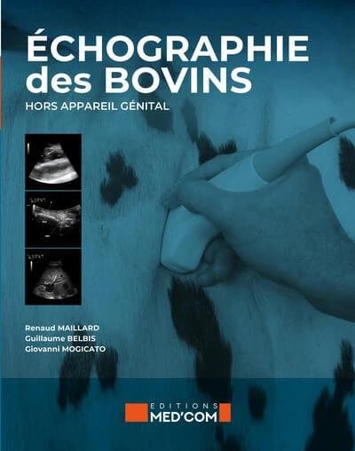 Échographie des bovins : hors appareil génital