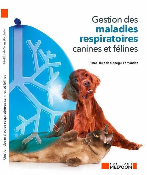 Gestion des maladies respiratoires canines et félines