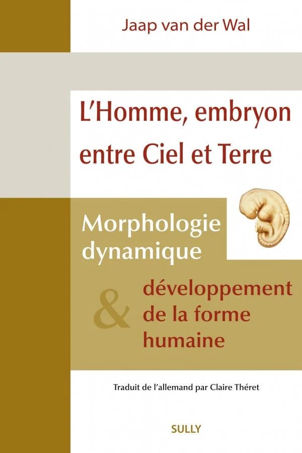 L'homme, embryon entre ciel et terre : morphologie dynamique et développement de la forme humaine