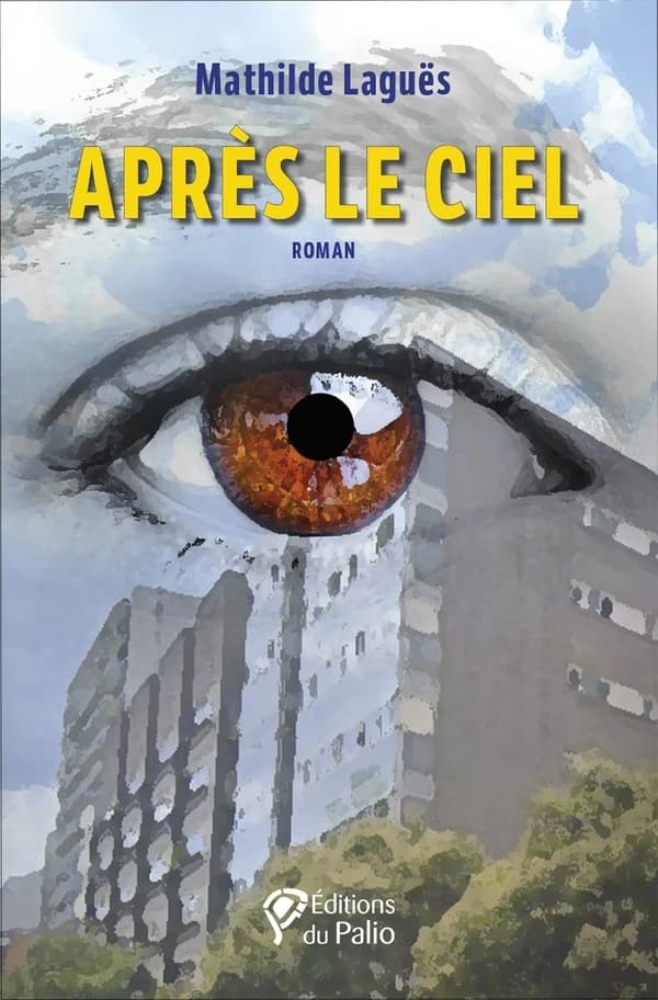 Après le ciel : roman