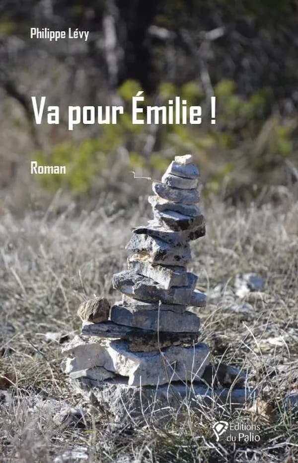 Va pour Émilie ! : roman