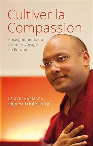 Cultiver la compassion : enseignements du premier voyage en Europe