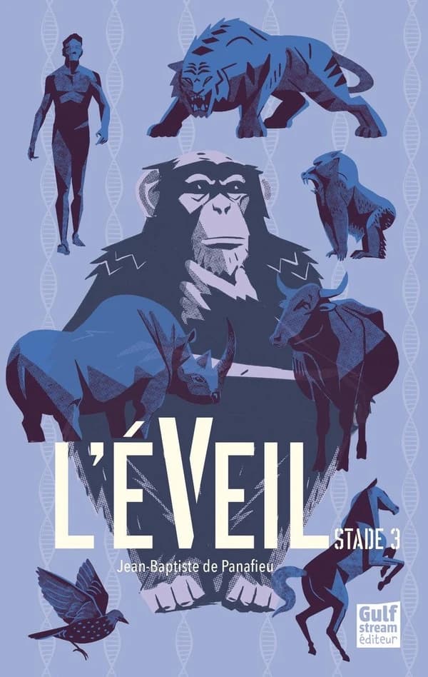 L'éveil. Stade 3