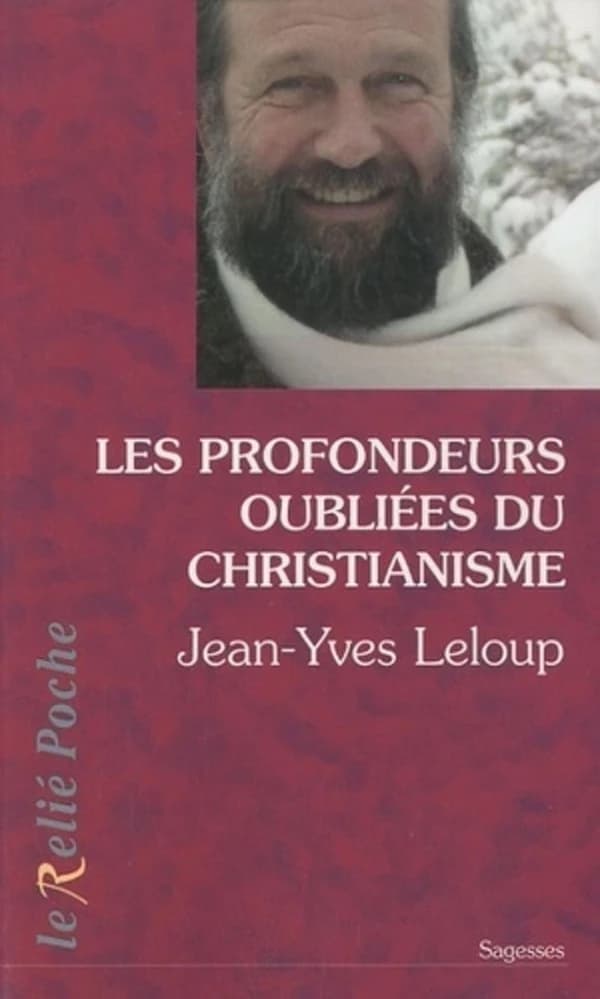 Les profondeurs oubliées du christianisme : entretiens avec Karin Andréa de Guise