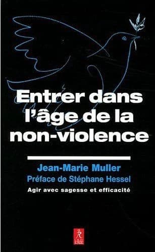 Entrer dans l'âge de la non-violence