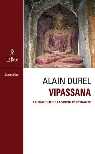 Vipassanā : la méditation selon Godwin Samararatne, la pratique de la vison pénétrante