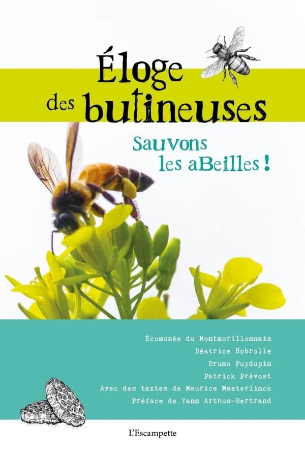 Éloge des butineuses : sauvons les abeilles !