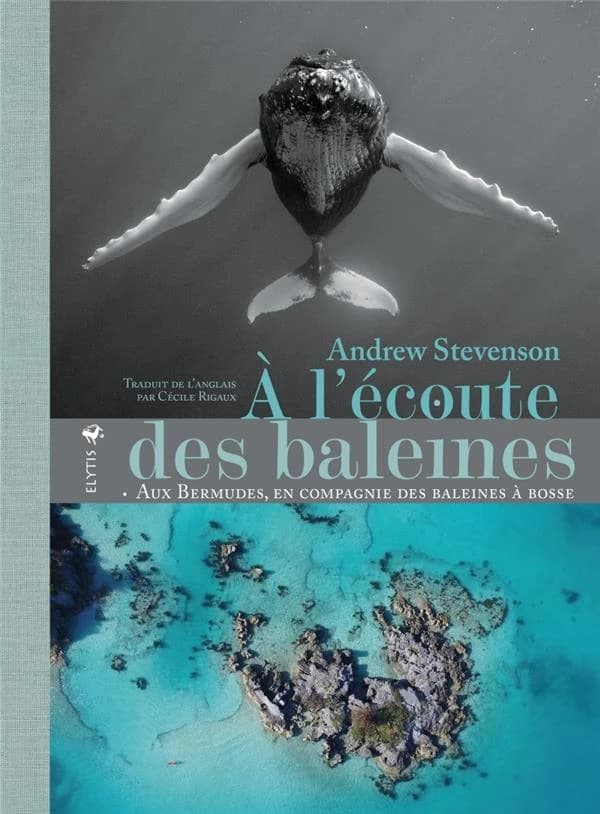 À l'écoute des baleines : aux Bermudes, en compagnie des baleines à bosse