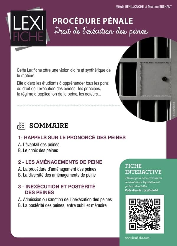 Procédure pénale : droit de l'exécution des peines