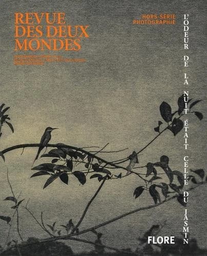 Flore : L'odeur de la nuit était celle du jasmin