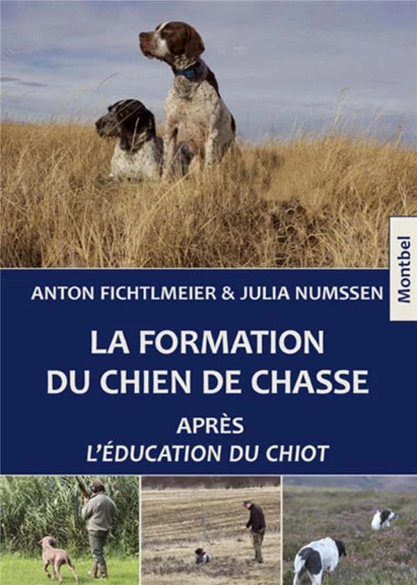 La formation du chien de chasse : après l'éducation du chiot