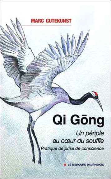 Qi gōng, un périple au coeur du souffle : pratique de prise de conscience