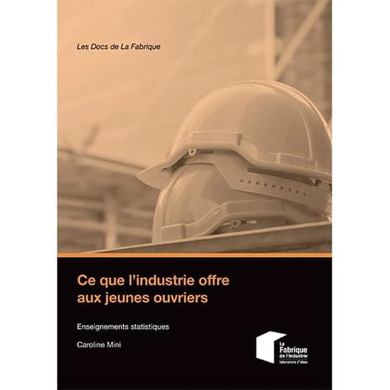 Ce que l'industrie offre aux jeunes ouvriers : enseignements statistiques