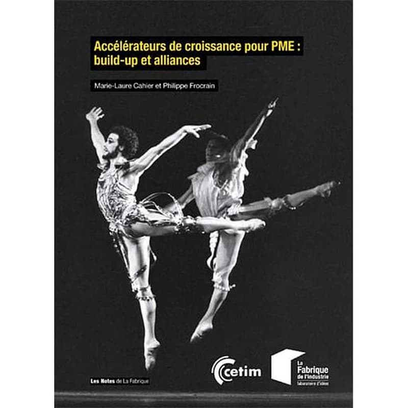 Accélérateurs de croissance pour PME : build-up et alliances