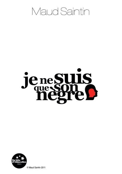 Je ne suis que son nègre : roman