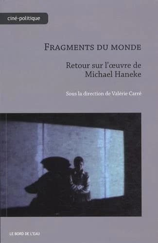 Fragments du monde : retour sur l'œuvre de Michael Haneke