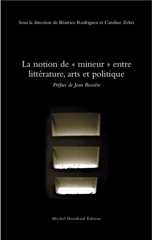 La notion de mineur entre littérature, arts et politique