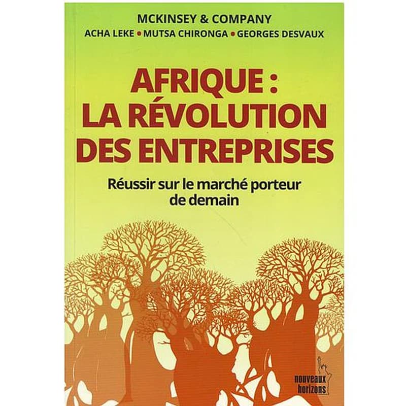 AFRIQUE : LA REVOLUTION DES ENTREPRISES - REUSSIR SUR LE MARCHE PORTEUR DE DEMAIN