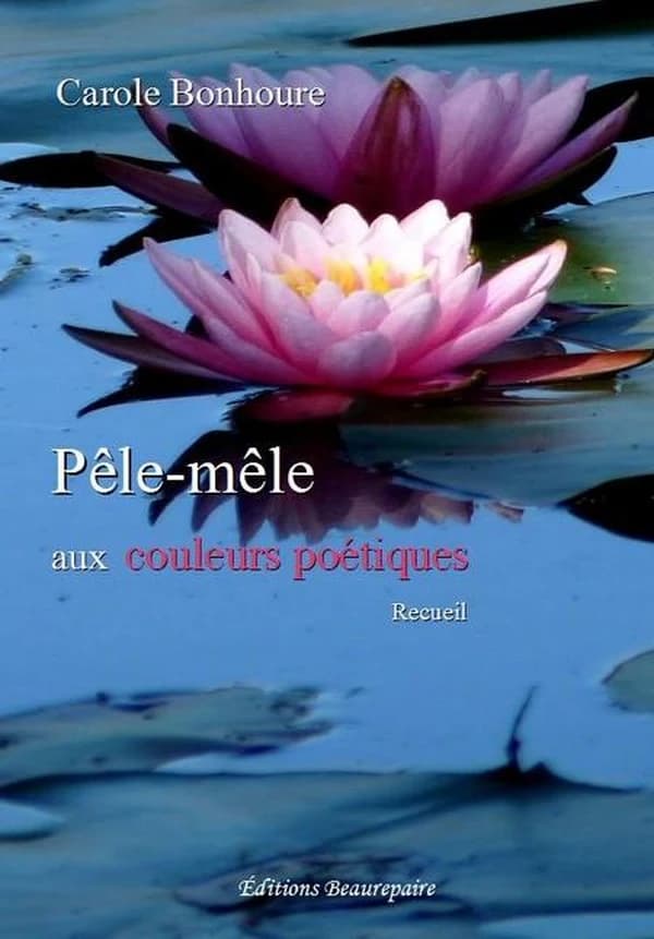 Pêle-mêle aux couleurs poétiques : recueil