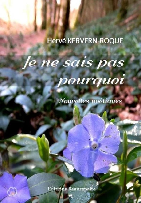 Je ne sais pas pourquoi : nouvelles poétiques