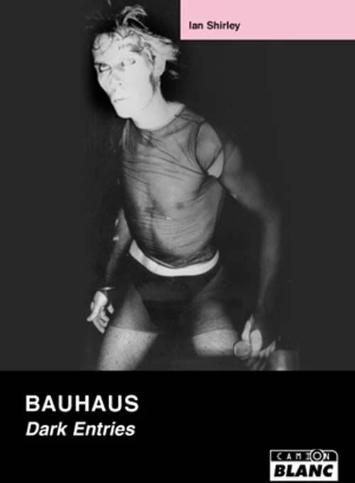 Bauhaus : dark entries
