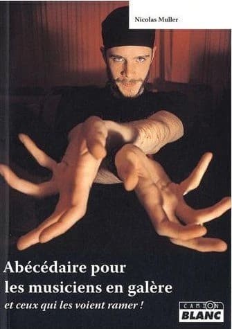 Abécédaire pour les musiciens en galère : et ceux qui les voient ramer !