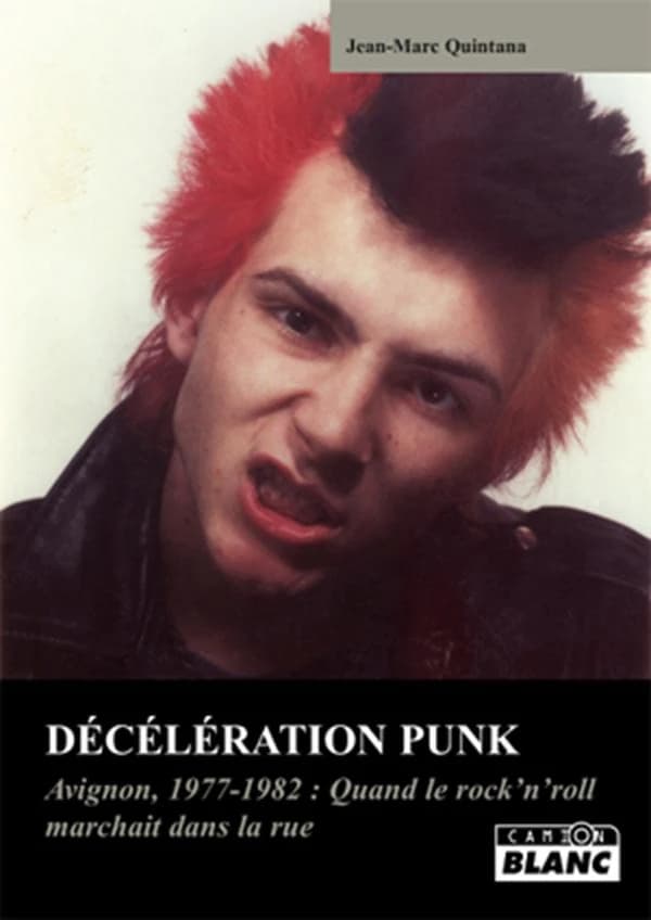 Décélération punk : Avignon, 1977-1982, quand le rock'n'roll marchait dans la rue