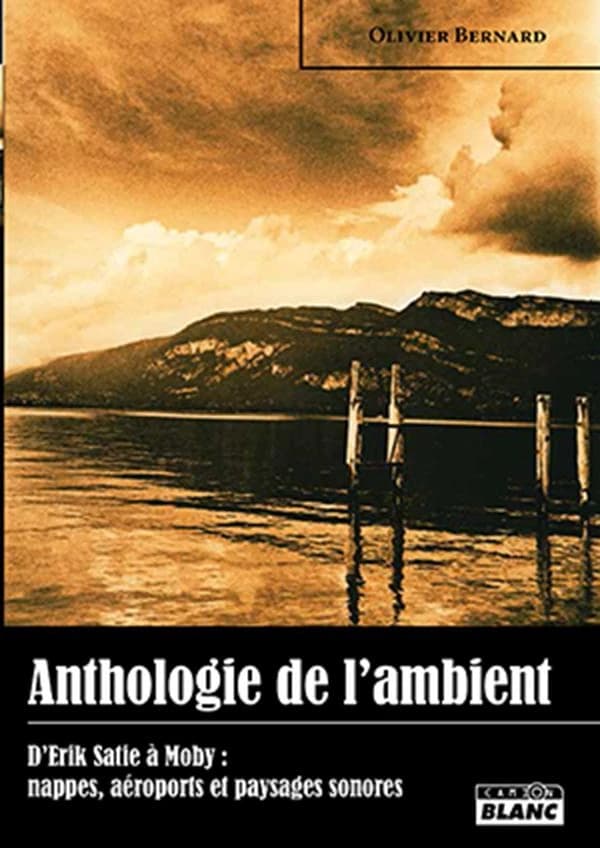 Anthologie de l'ambient : d'Erik Satie à Moby : nappes, aéroports et paysages sonores