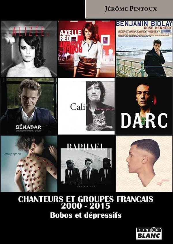 Chanteurs et groupes français, 2000-2015 : bobos et dépressifs