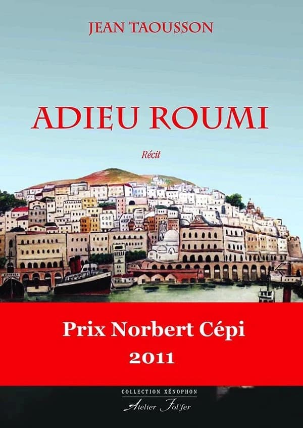 Adieu roumi : récit