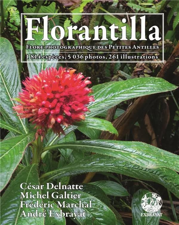 Florantilla : flore photographique des Petites Antilles