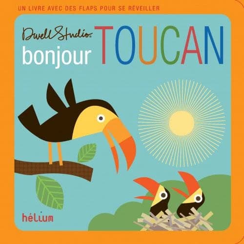 Bonjour toucan