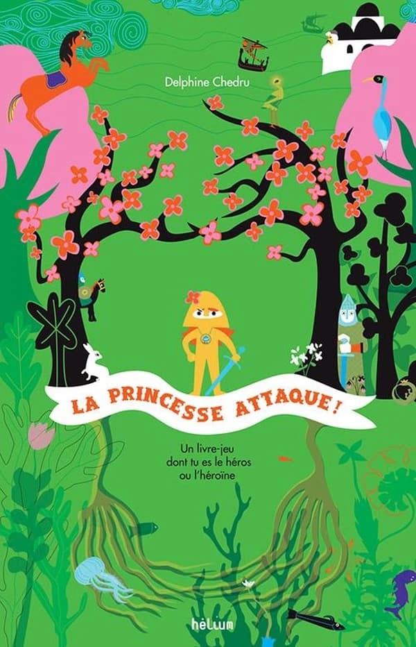 La princesse attaque ! : un livre dont tu es le héros ou l'héroïne