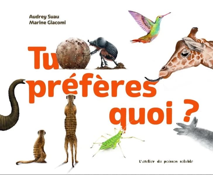 Tu préfères quoi ?