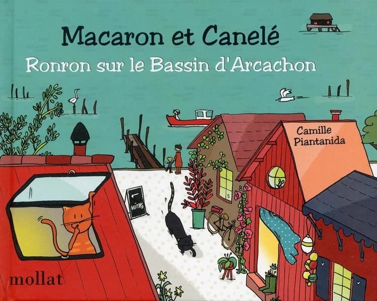 Ronron sur le bassin d'Arcachon