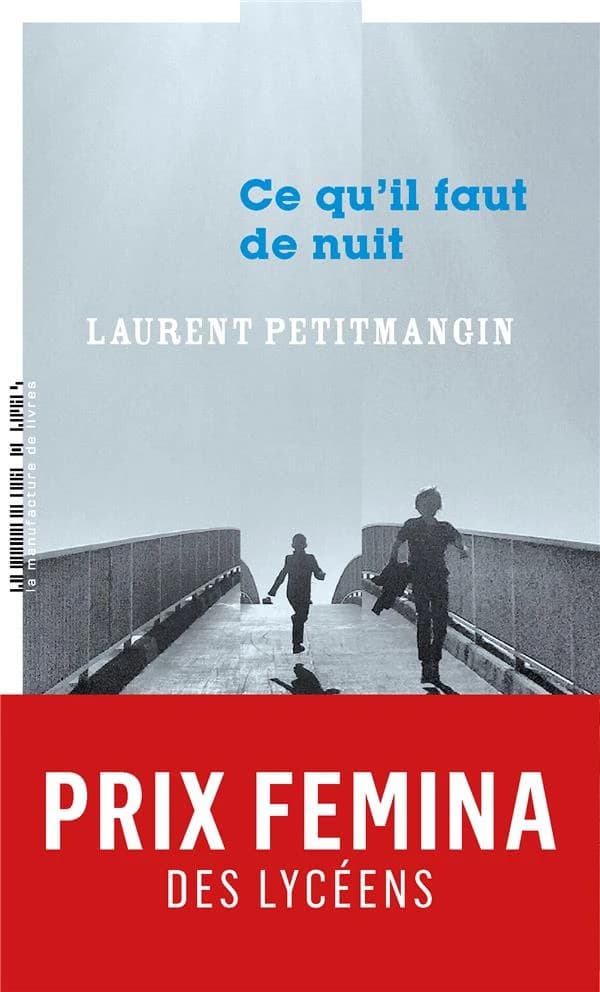 Ce qu'il faut de nuit : roman