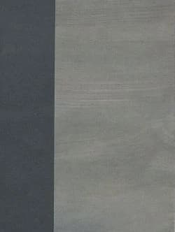 Emmanuel van der Meulen, Chronochromie : [exposition, Paris, Galerie Jean Fournier, 13 janvier-26 février 2011]