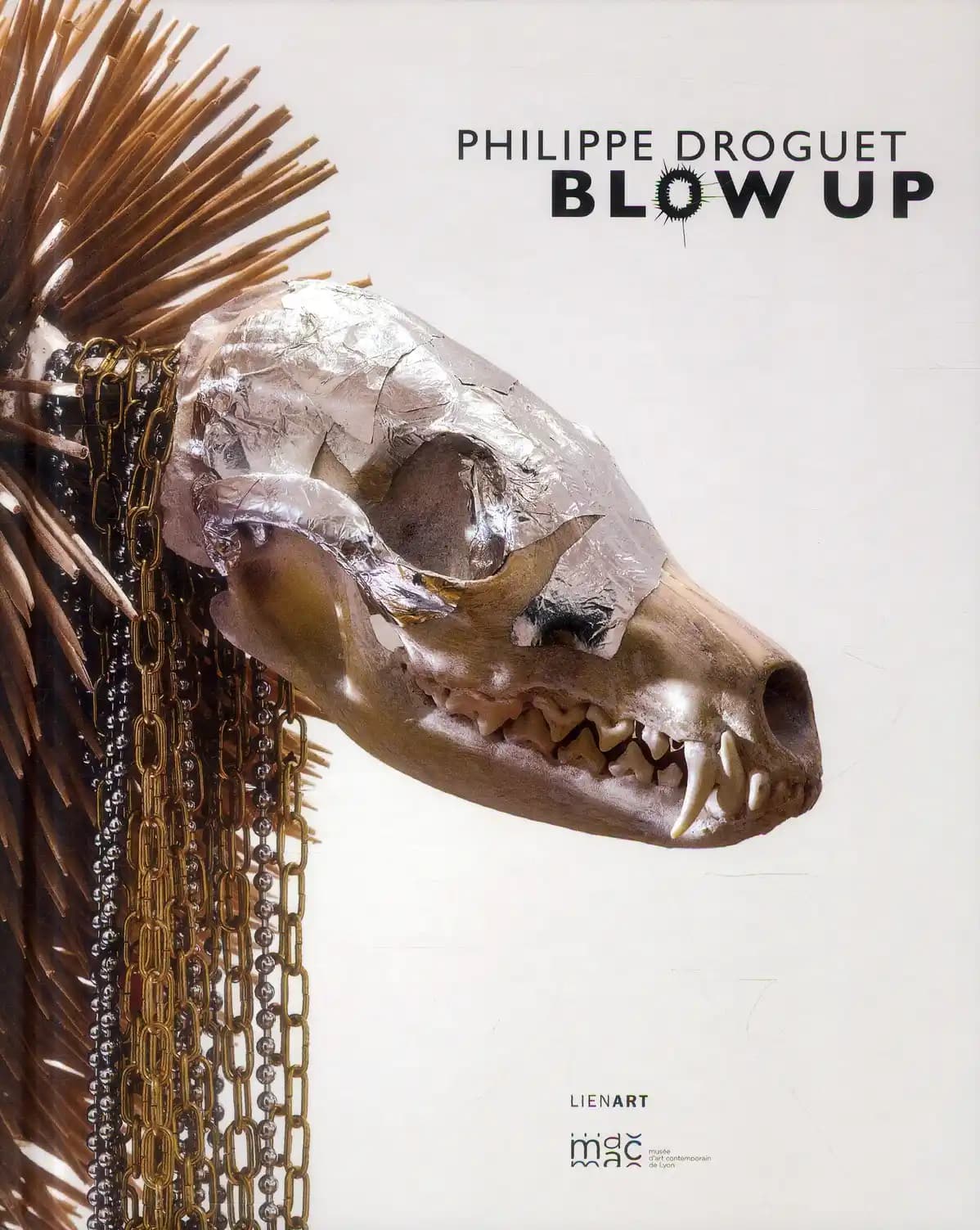 Philippe Droguet, Blow up : [exposition, Lyon, Musée d'art contemporain de Lyon, 25 mai-21 juillet 2013]