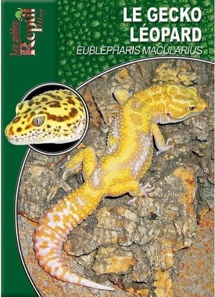 Le Gecko léopard : Eublepharis macularius