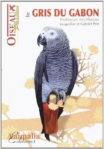 Le gris du Gabon : Psittacus erythacus