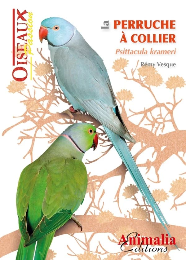 La perruche à collier : Psittacula krameri