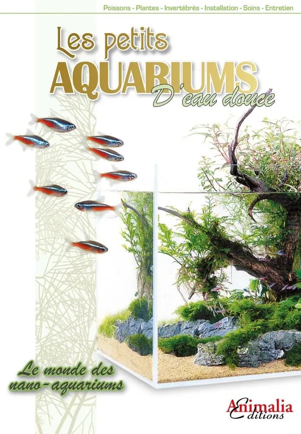 Les petits aquariums d'eau douce : le monde des nano-aquariums...