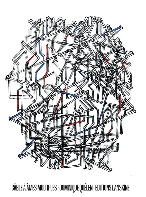 Câble à âmes multiples