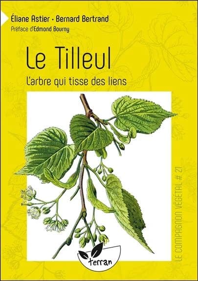 Le tilleul : l'arbre qui tisse des liens