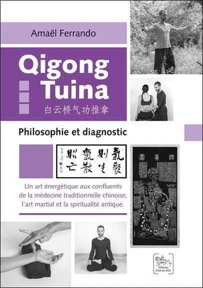Qigong tuina : philosophie et diagnostic : un art énergétique aux confluents de la médecine traditionnelle chinoise, l'art martial et la spiritualité antique