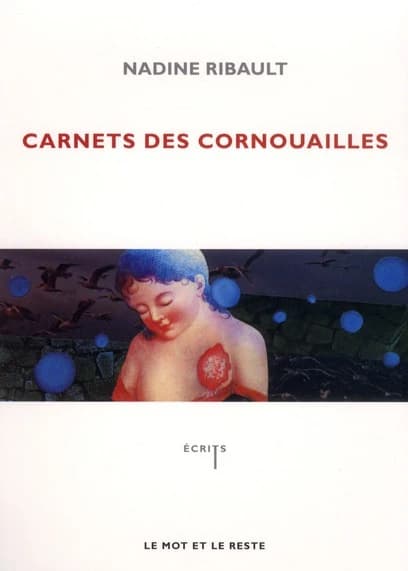 Carnets des Cornouailles : cette pose sur le bord d'un abîme